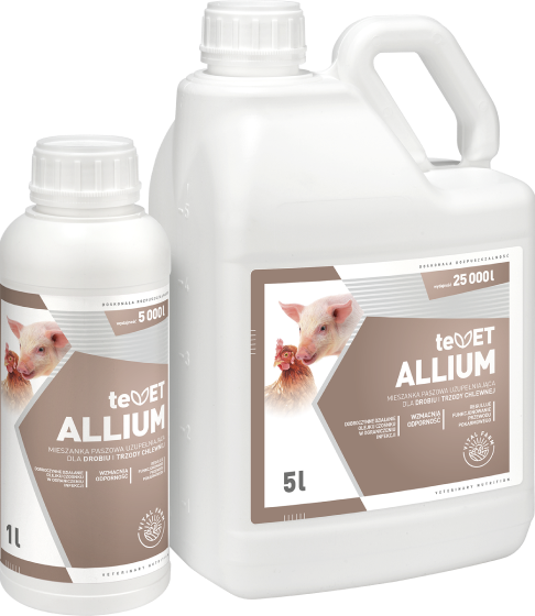 produkt ALLIUM