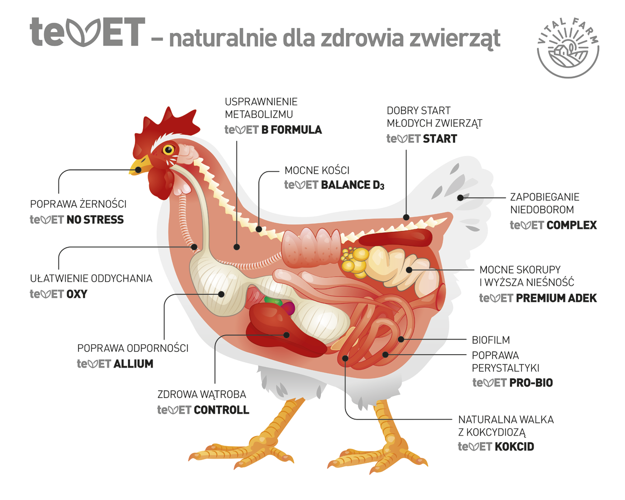 schemat stosowania PRO-BIO